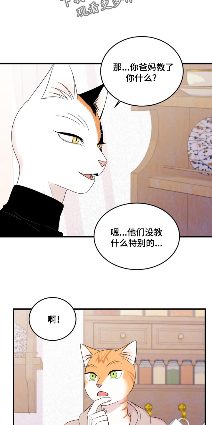 《灵猫欧米伽》漫画最新章节第74章：【第二季】妙鱼钥匙扣免费下拉式在线观看章节第【16】张图片