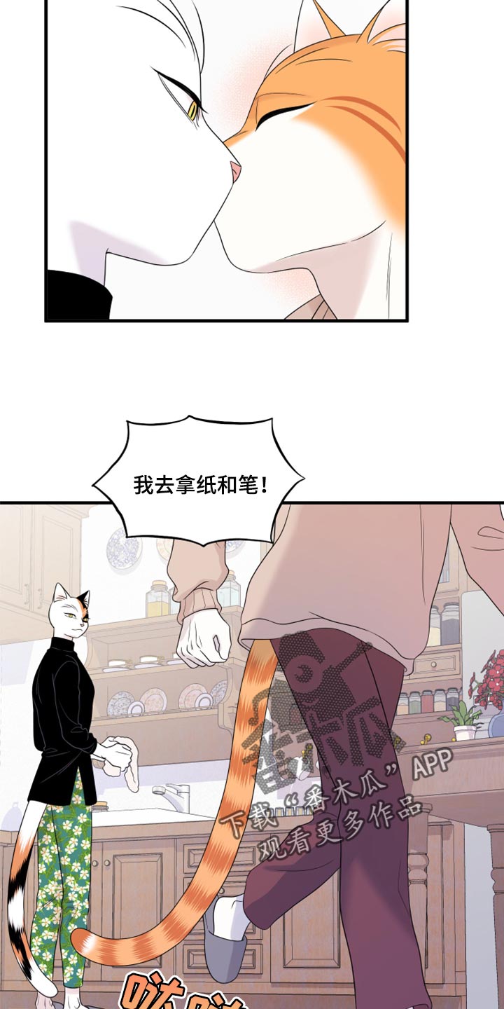 《灵猫欧米伽》漫画最新章节第74章：【第二季】妙鱼钥匙扣免费下拉式在线观看章节第【12】张图片