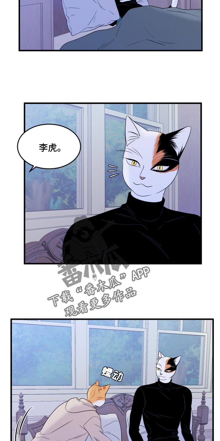 《灵猫欧米伽》漫画最新章节第74章：【第二季】妙鱼钥匙扣免费下拉式在线观看章节第【5】张图片