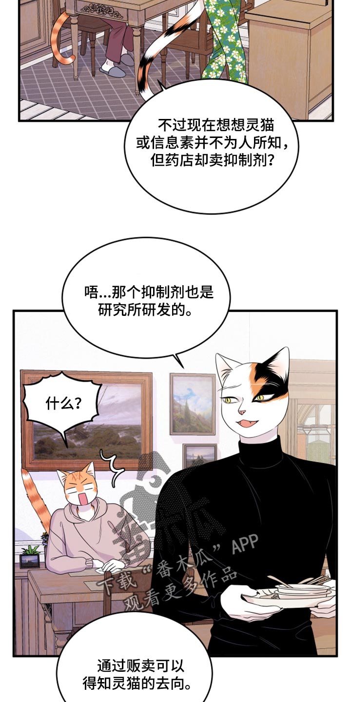 《灵猫欧米伽》漫画最新章节第74章：【第二季】妙鱼钥匙扣免费下拉式在线观看章节第【19】张图片