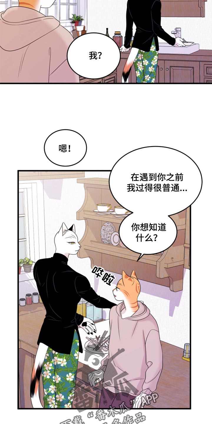 《灵猫欧米伽》漫画最新章节第74章：【第二季】妙鱼钥匙扣免费下拉式在线观看章节第【17】张图片