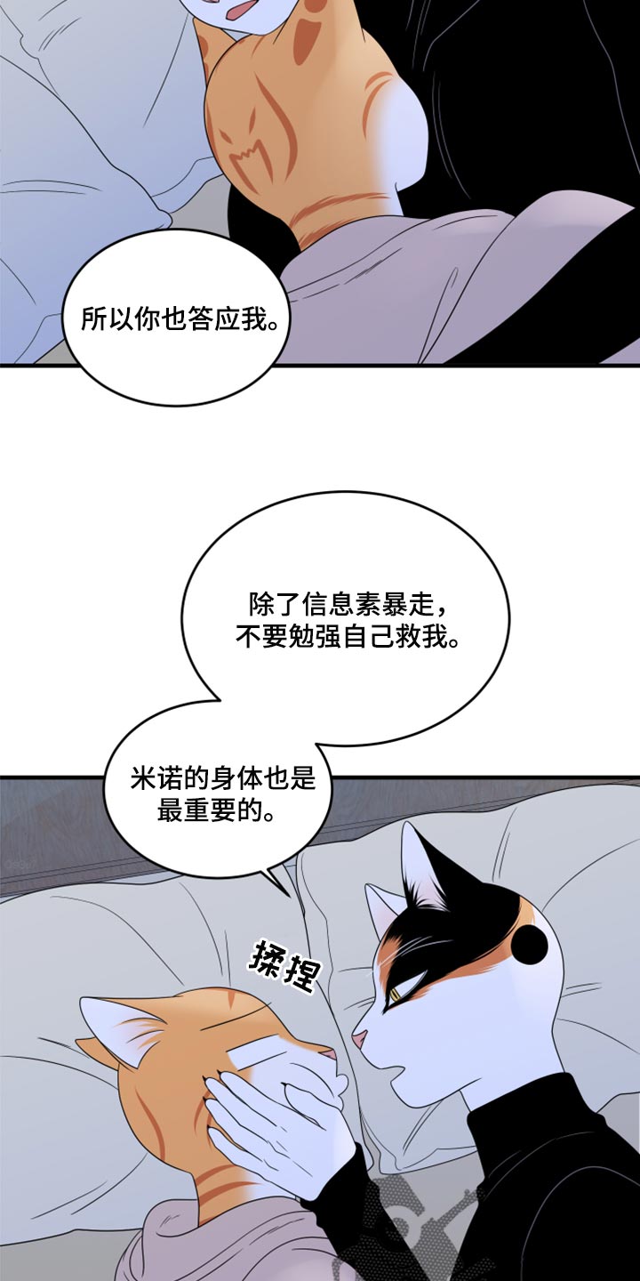 《灵猫欧米伽》漫画最新章节第75章：【第二季】约定免费下拉式在线观看章节第【3】张图片