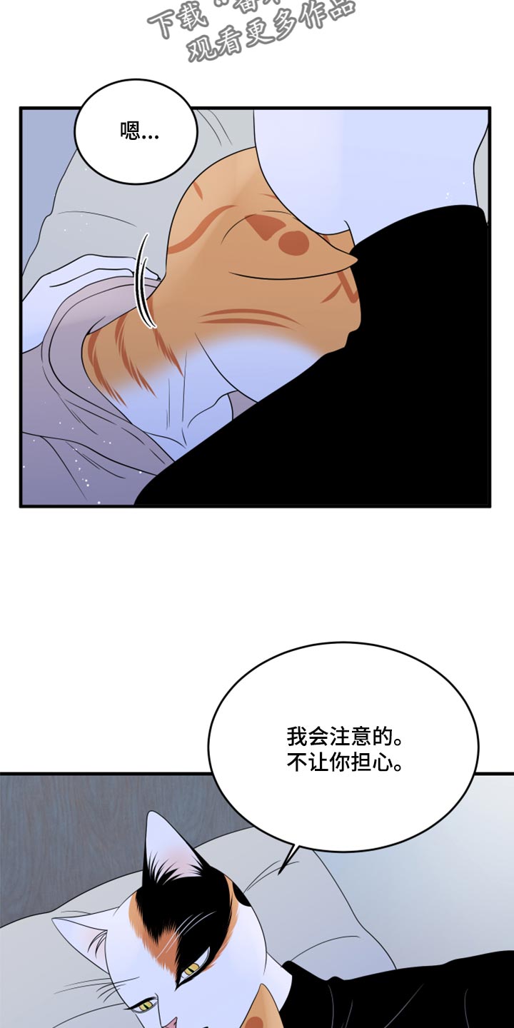 《灵猫欧米伽》漫画最新章节第75章：【第二季】约定免费下拉式在线观看章节第【4】张图片