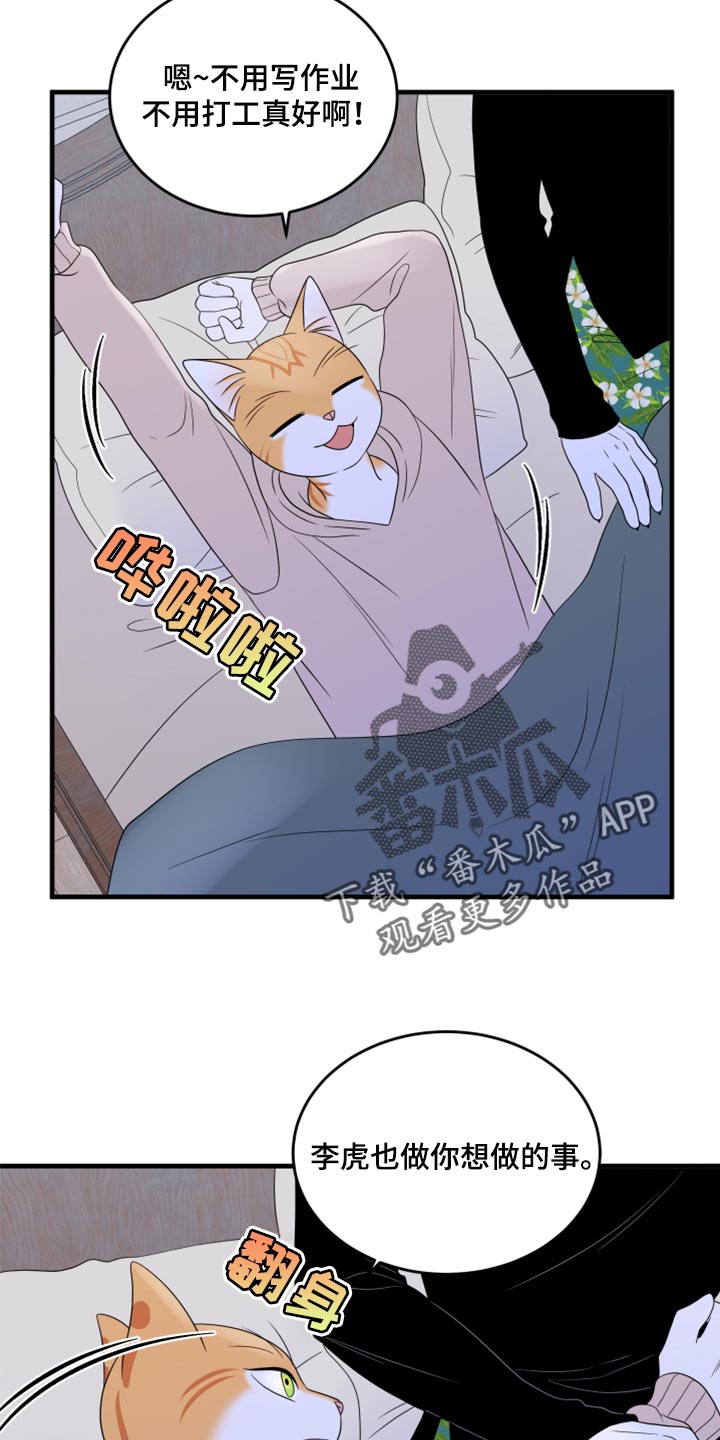 《灵猫欧米伽》漫画最新章节第75章：【第二季】约定免费下拉式在线观看章节第【14】张图片