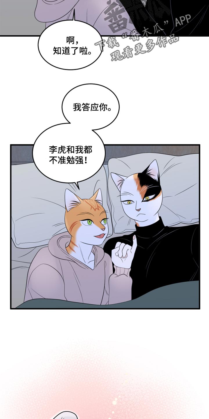 《灵猫欧米伽》漫画最新章节第75章：【第二季】约定免费下拉式在线观看章节第【2】张图片