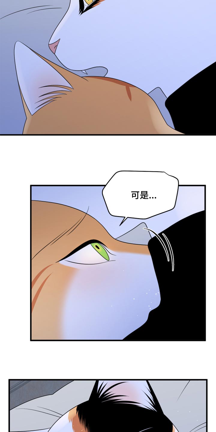 《灵猫欧米伽》漫画最新章节第75章：【第二季】约定免费下拉式在线观看章节第【6】张图片