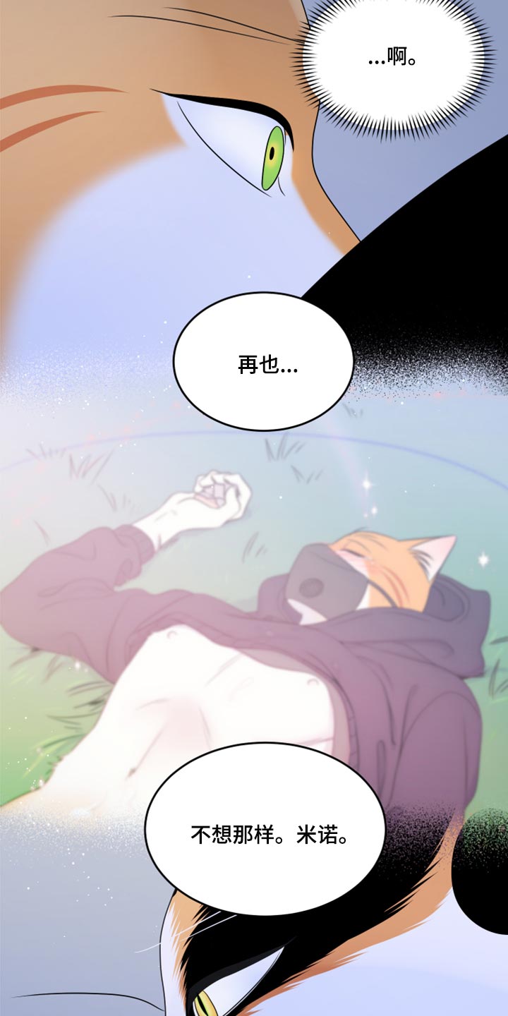 《灵猫欧米伽》漫画最新章节第75章：【第二季】约定免费下拉式在线观看章节第【7】张图片