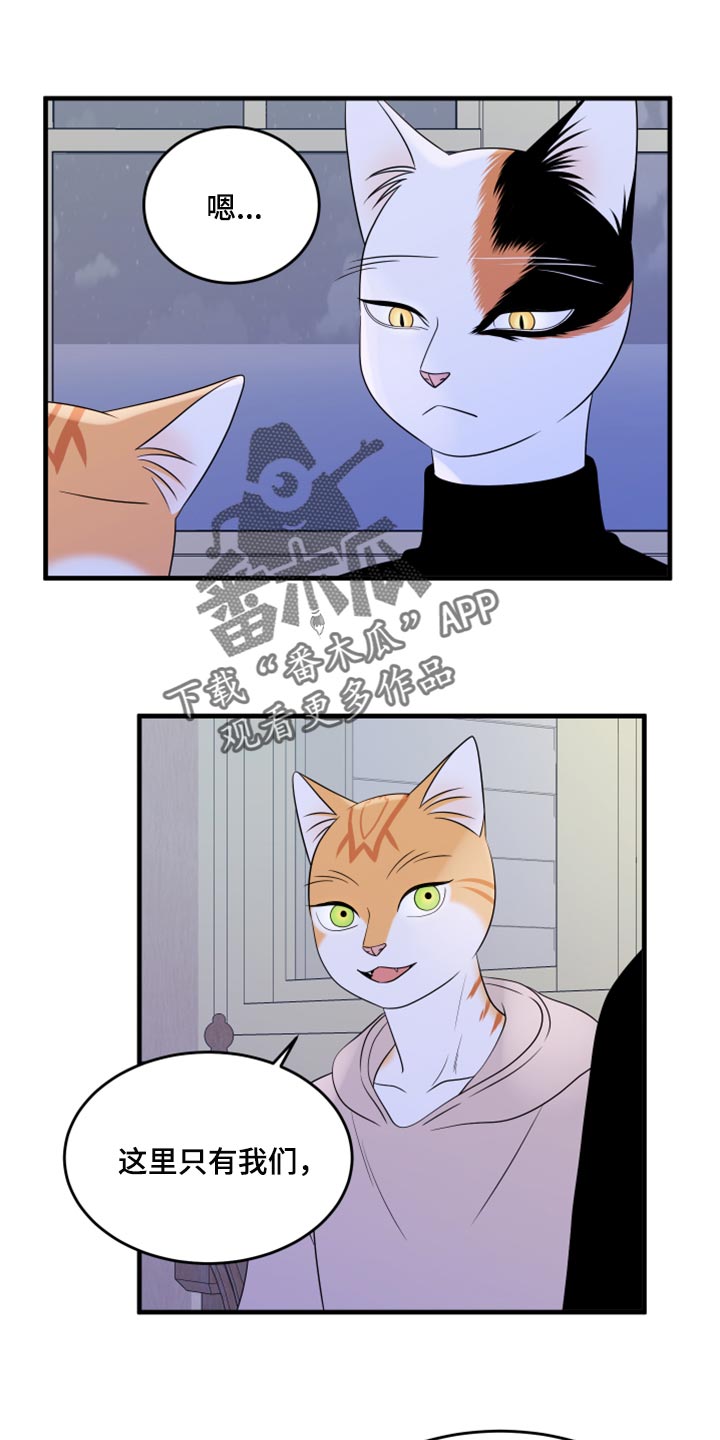 《灵猫欧米伽》漫画最新章节第75章：【第二季】约定免费下拉式在线观看章节第【16】张图片