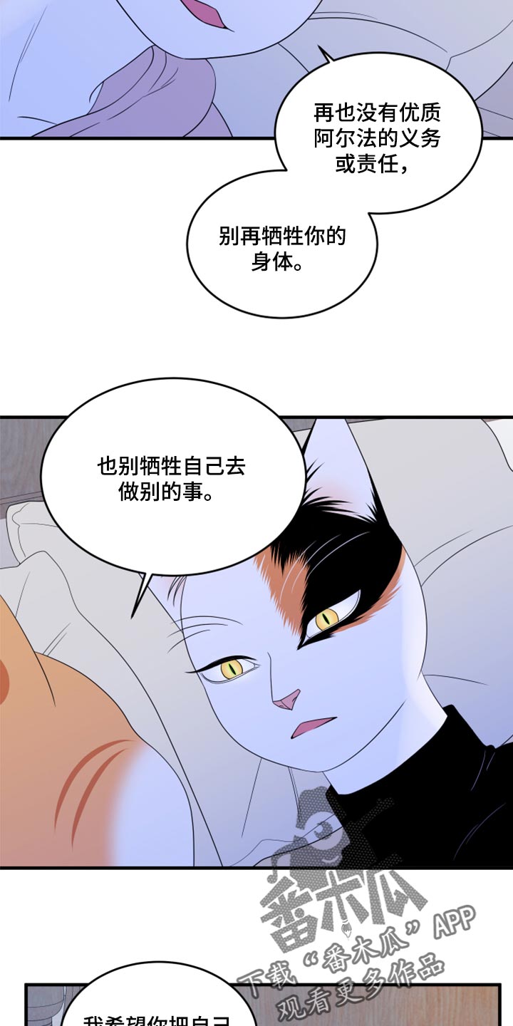 《灵猫欧米伽》漫画最新章节第75章：【第二季】约定免费下拉式在线观看章节第【11】张图片