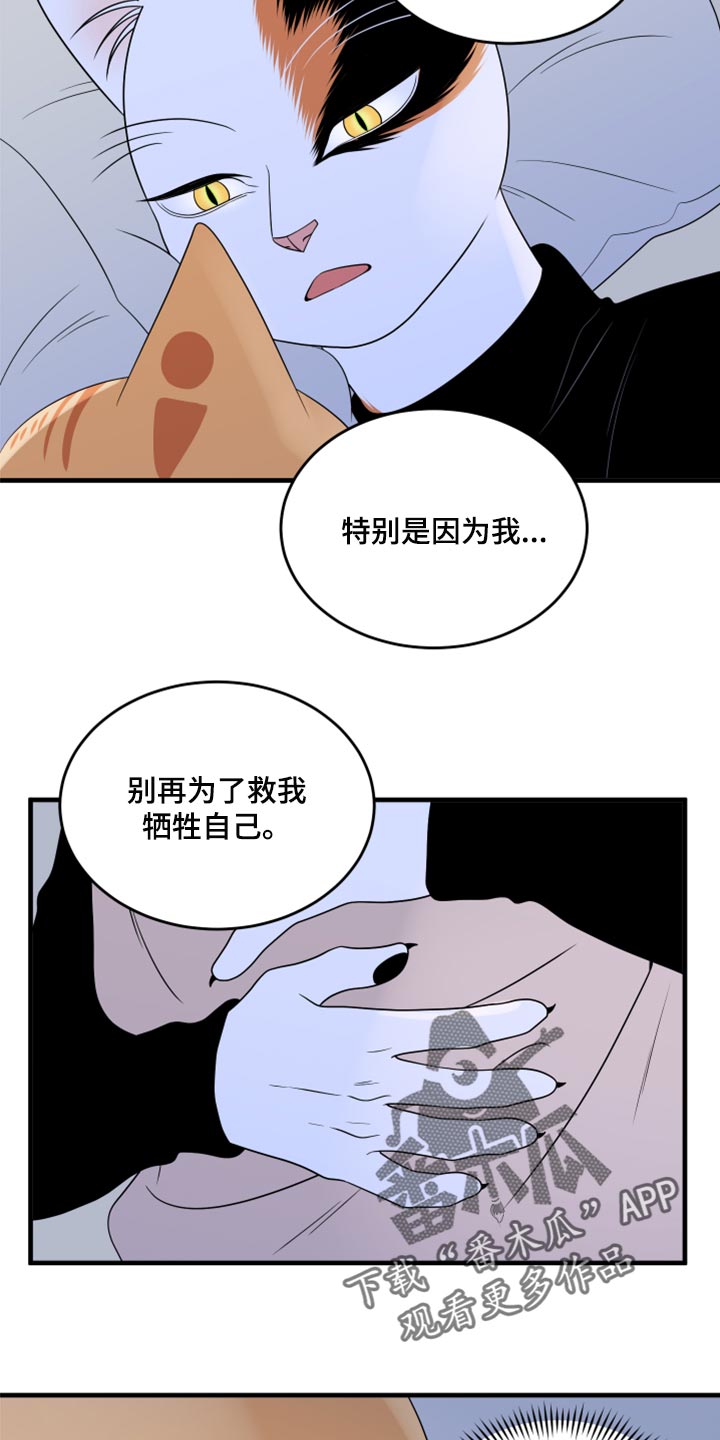 《灵猫欧米伽》漫画最新章节第75章：【第二季】约定免费下拉式在线观看章节第【8】张图片