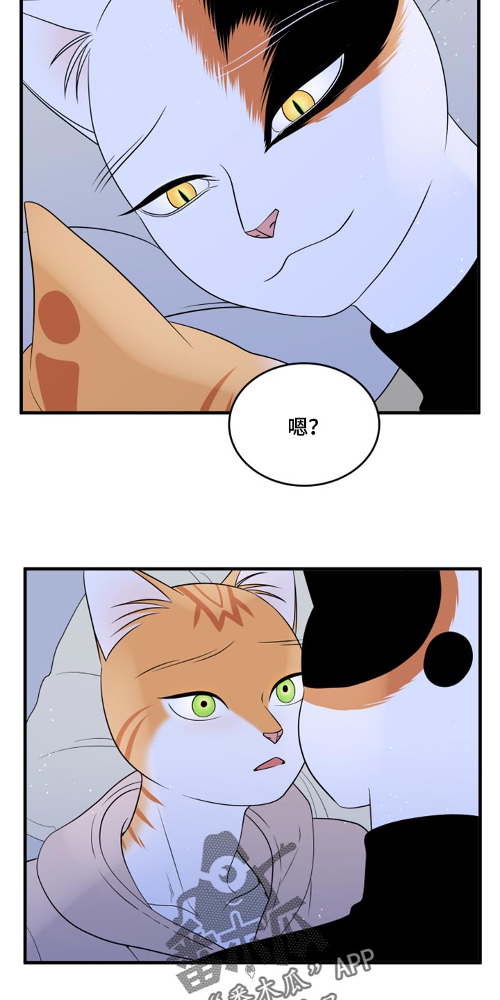 《灵猫欧米伽》漫画最新章节第75章：【第二季】约定免费下拉式在线观看章节第【5】张图片