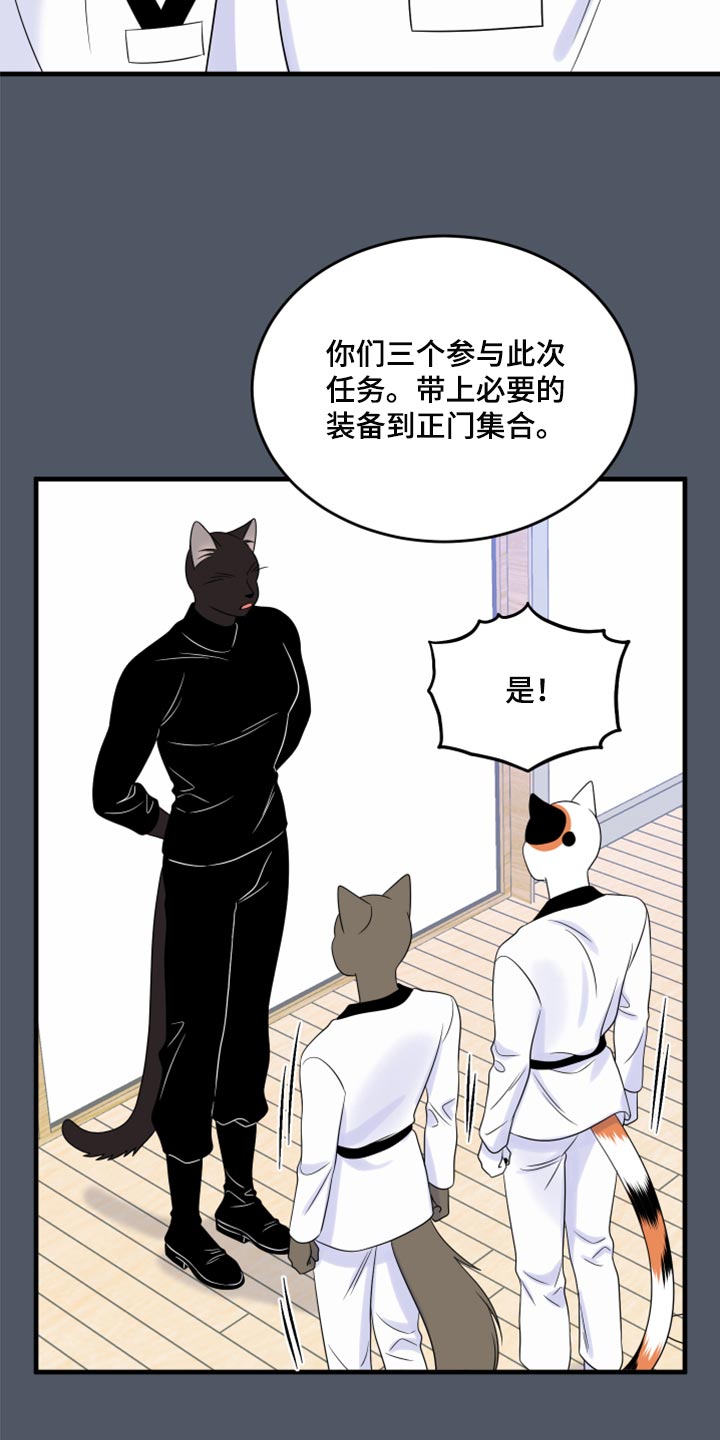 《灵猫欧米伽》漫画最新章节第76章：【第二季】有什么特别免费下拉式在线观看章节第【8】张图片