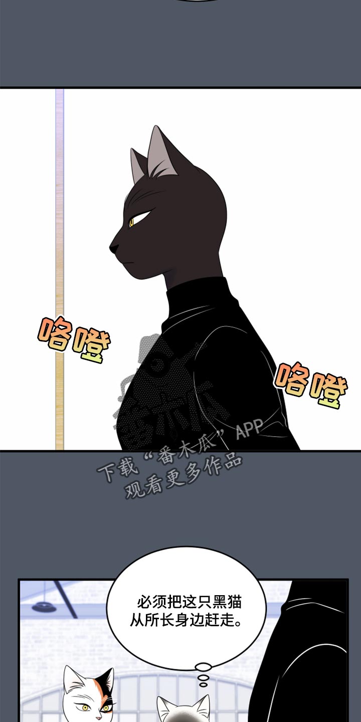 《灵猫欧米伽》漫画最新章节第76章：【第二季】有什么特别免费下拉式在线观看章节第【15】张图片