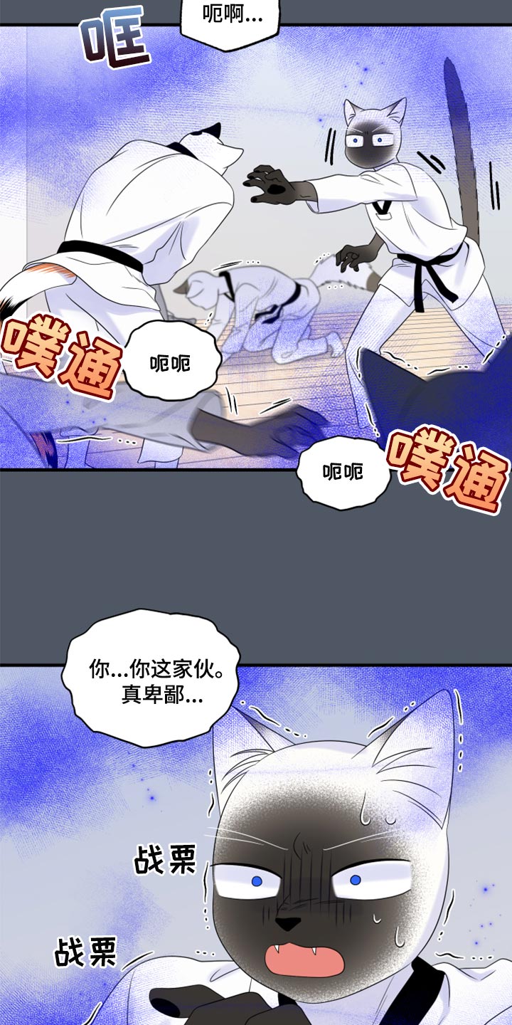 《灵猫欧米伽》漫画最新章节第76章：【第二季】有什么特别免费下拉式在线观看章节第【19】张图片