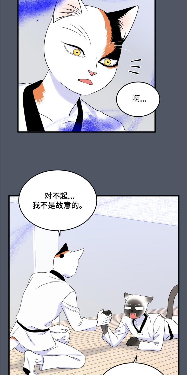 《灵猫欧米伽》漫画最新章节第76章：【第二季】有什么特别免费下拉式在线观看章节第【17】张图片