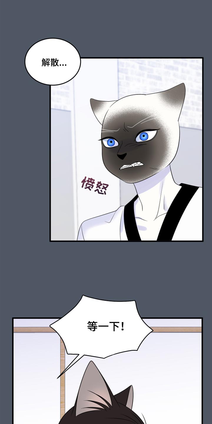 《灵猫欧米伽》漫画最新章节第76章：【第二季】有什么特别免费下拉式在线观看章节第【7】张图片