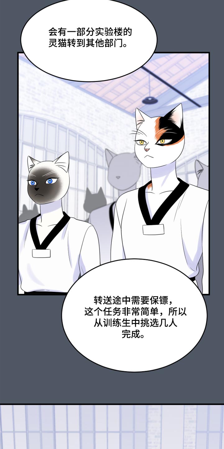 《灵猫欧米伽》漫画最新章节第76章：【第二季】有什么特别免费下拉式在线观看章节第【11】张图片