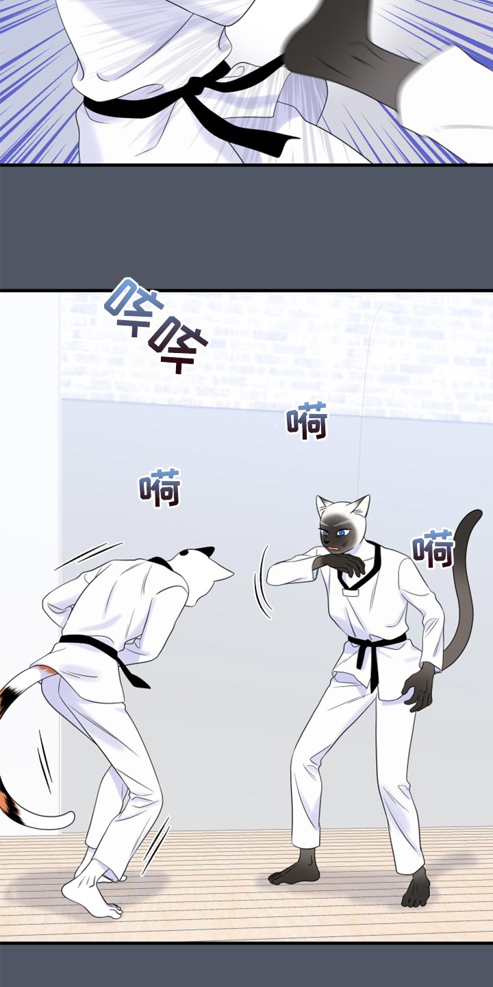灵猫欧米伽-第76章：【第二季】有什么特别全彩韩漫标签