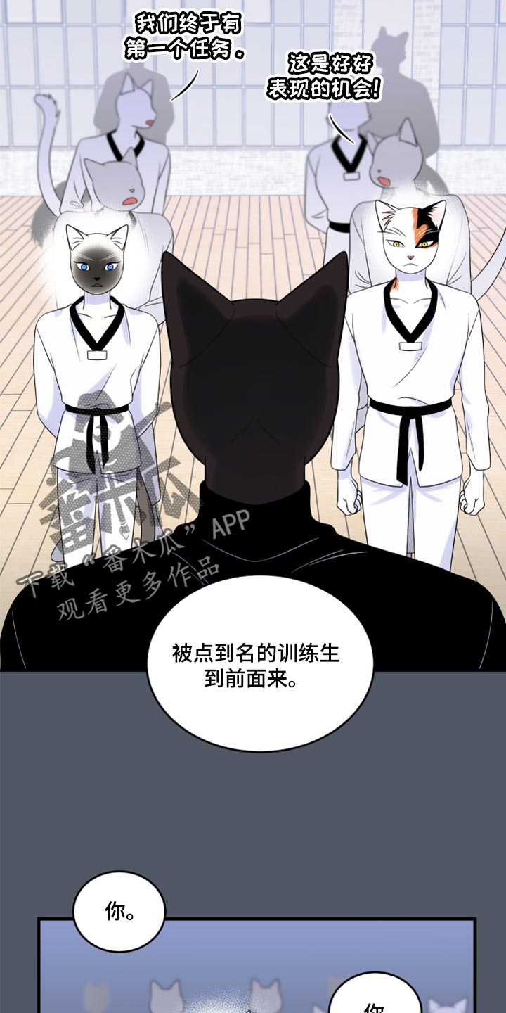 《灵猫欧米伽》漫画最新章节第76章：【第二季】有什么特别免费下拉式在线观看章节第【10】张图片