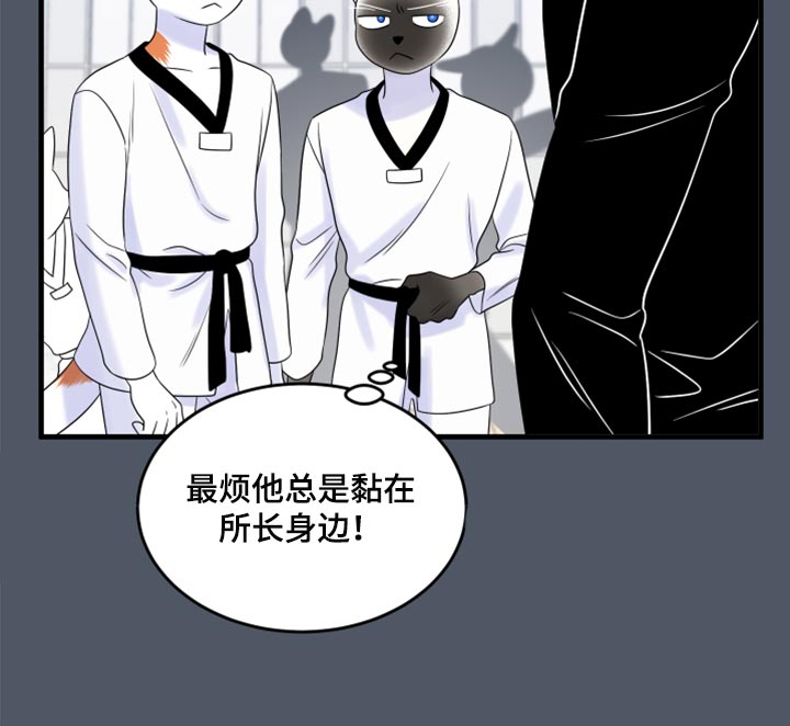 《灵猫欧米伽》漫画最新章节第76章：【第二季】有什么特别免费下拉式在线观看章节第【14】张图片