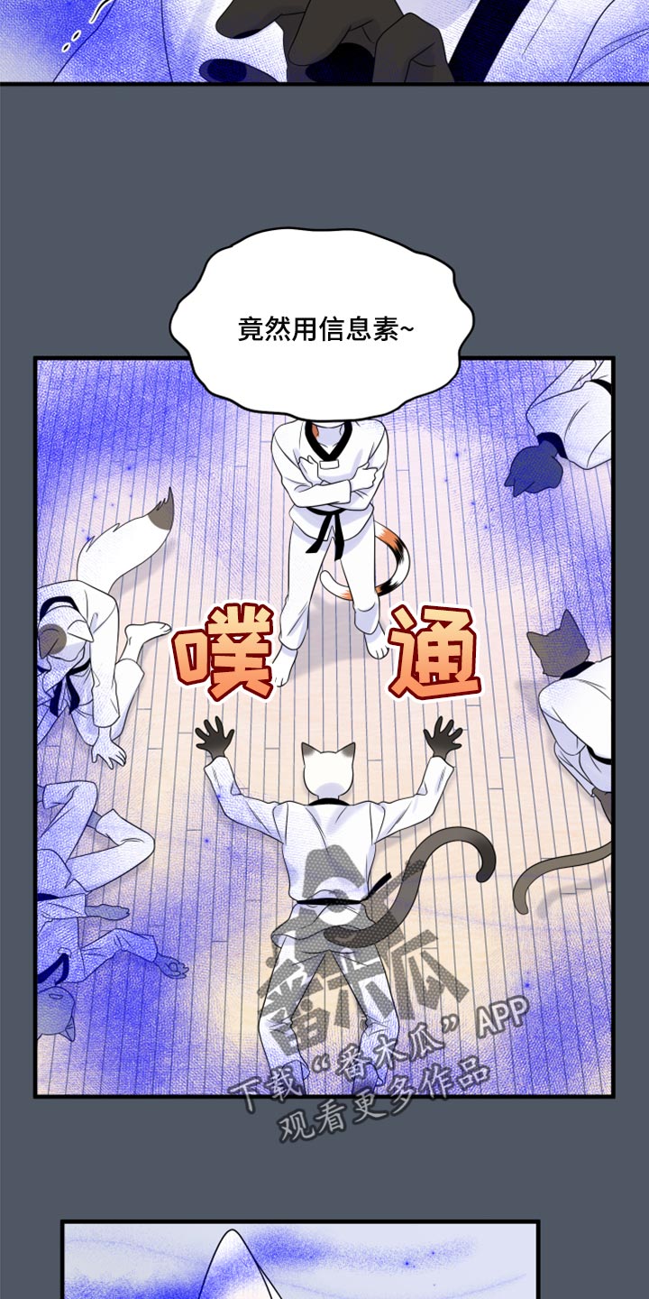 《灵猫欧米伽》漫画最新章节第76章：【第二季】有什么特别免费下拉式在线观看章节第【18】张图片