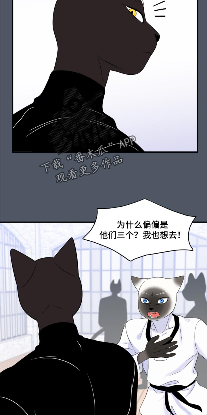 《灵猫欧米伽》漫画最新章节第76章：【第二季】有什么特别免费下拉式在线观看章节第【6】张图片