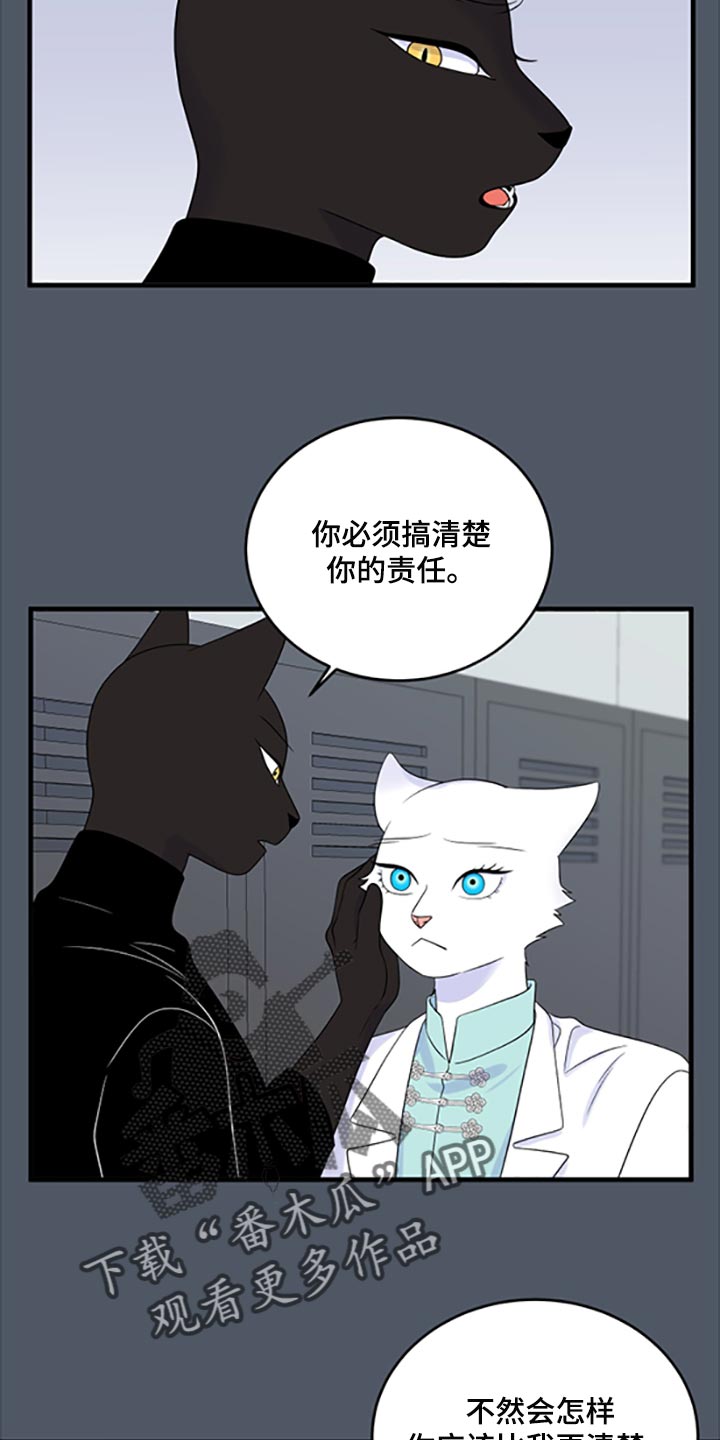 《灵猫欧米伽》漫画最新章节第78章：【第二季】优点也是弱点免费下拉式在线观看章节第【7】张图片