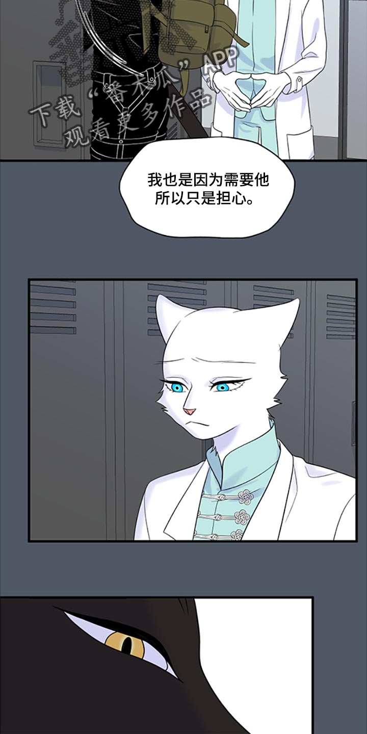 《灵猫欧米伽》漫画最新章节第78章：【第二季】优点也是弱点免费下拉式在线观看章节第【9】张图片