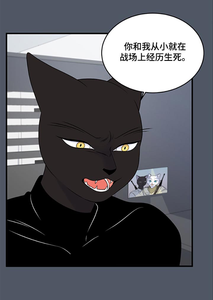 《灵猫欧米伽》漫画最新章节第78章：【第二季】优点也是弱点免费下拉式在线观看章节第【15】张图片