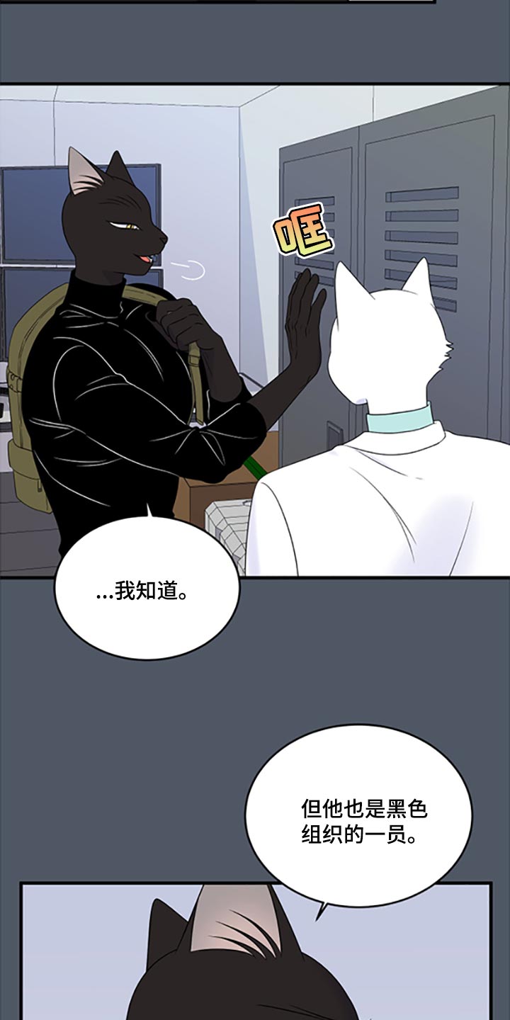 《灵猫欧米伽》漫画最新章节第78章：【第二季】优点也是弱点免费下拉式在线观看章节第【8】张图片