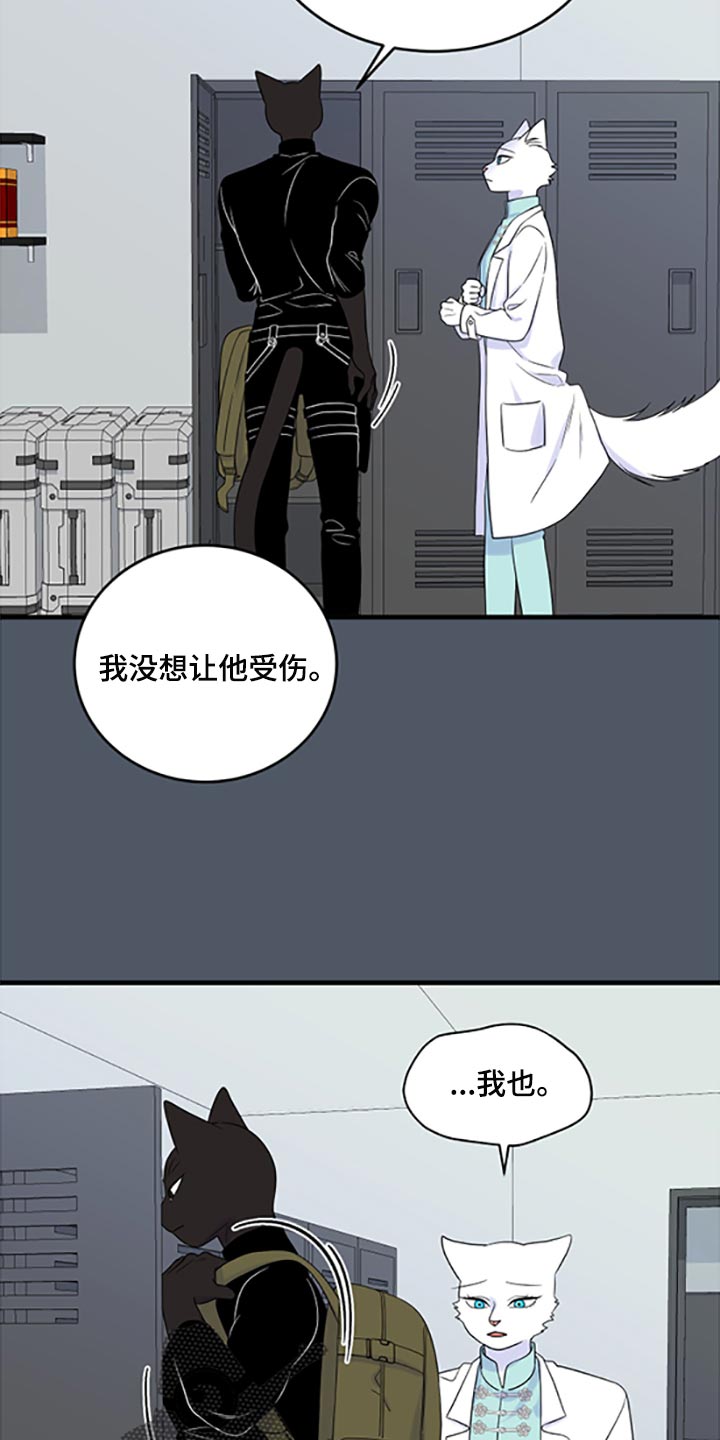 《灵猫欧米伽》漫画最新章节第78章：【第二季】优点也是弱点免费下拉式在线观看章节第【10】张图片