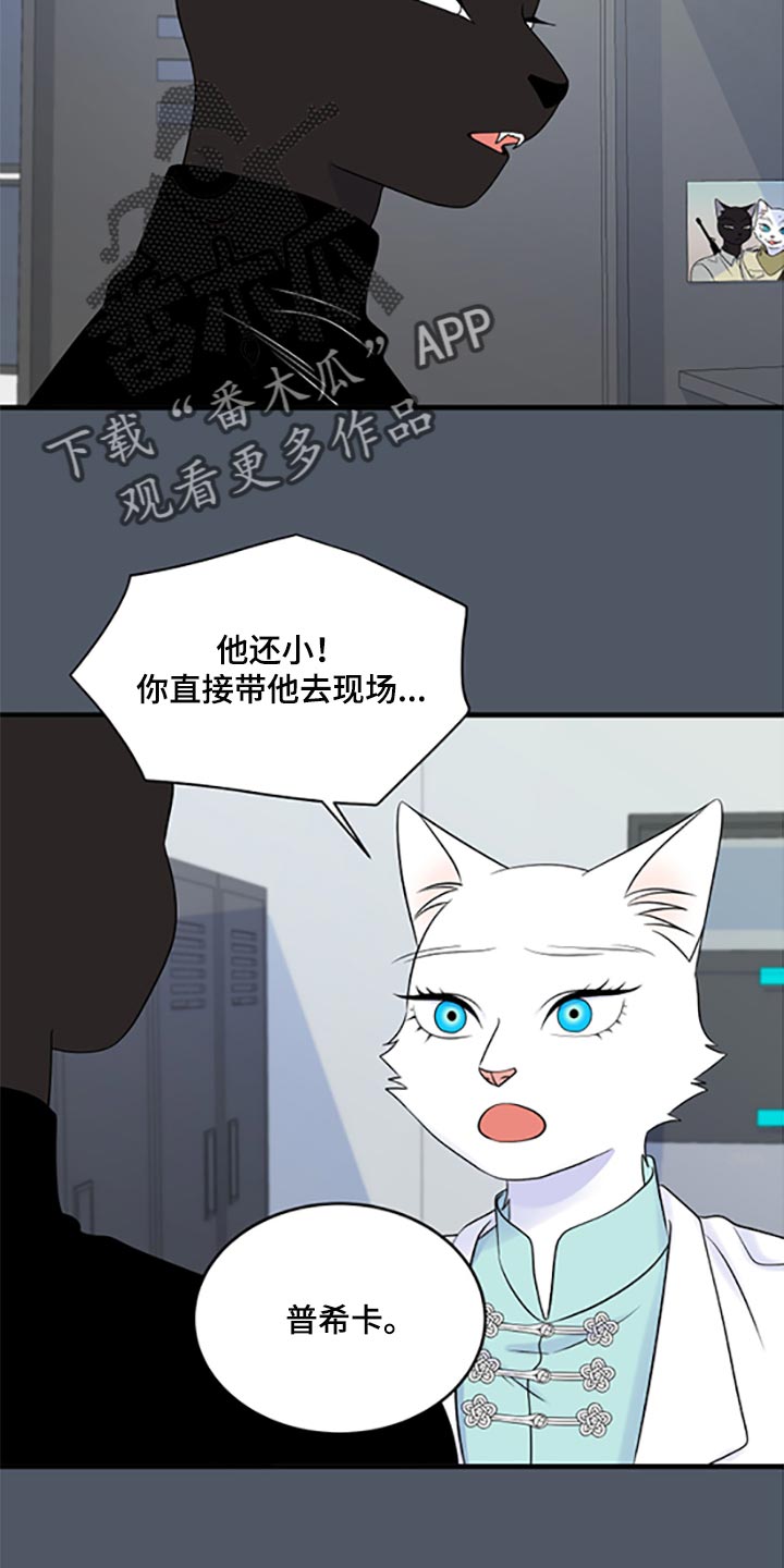 《灵猫欧米伽》漫画最新章节第78章：【第二季】优点也是弱点免费下拉式在线观看章节第【16】张图片