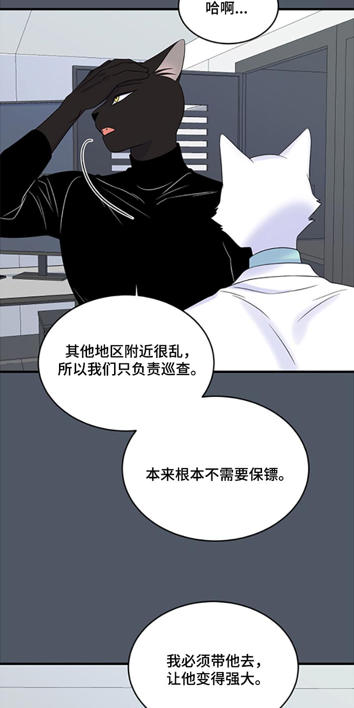 《灵猫欧米伽》漫画最新章节第78章：【第二季】优点也是弱点免费下拉式在线观看章节第【11】张图片