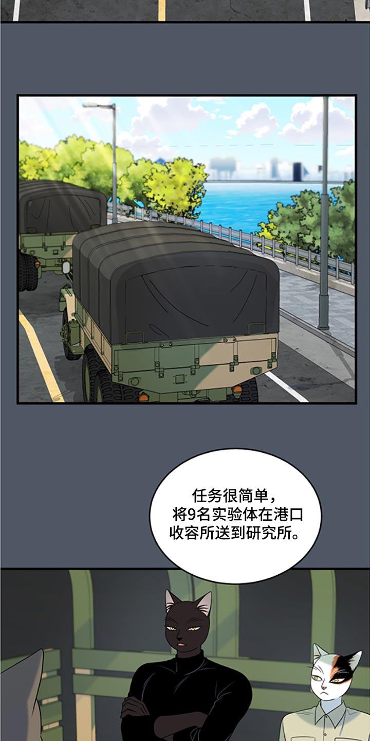 《灵猫欧米伽》漫画最新章节第79章：【第二季】傻瓜免费下拉式在线观看章节第【12】张图片