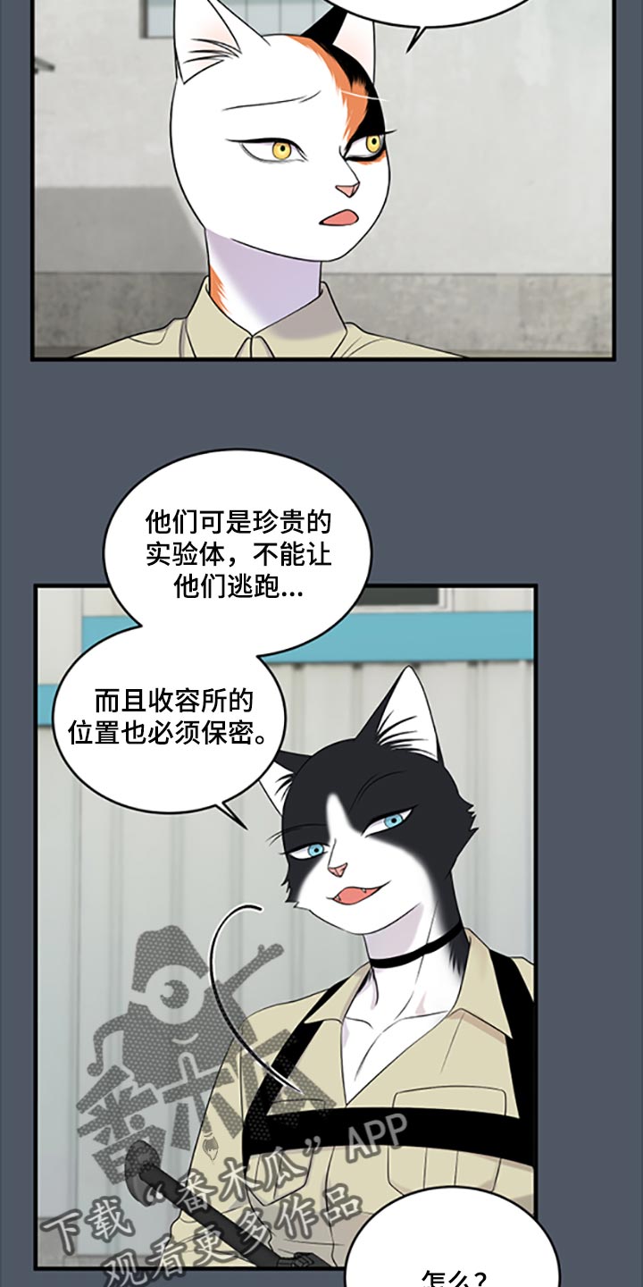 《灵猫欧米伽》漫画最新章节第79章：【第二季】傻瓜免费下拉式在线观看章节第【3】张图片