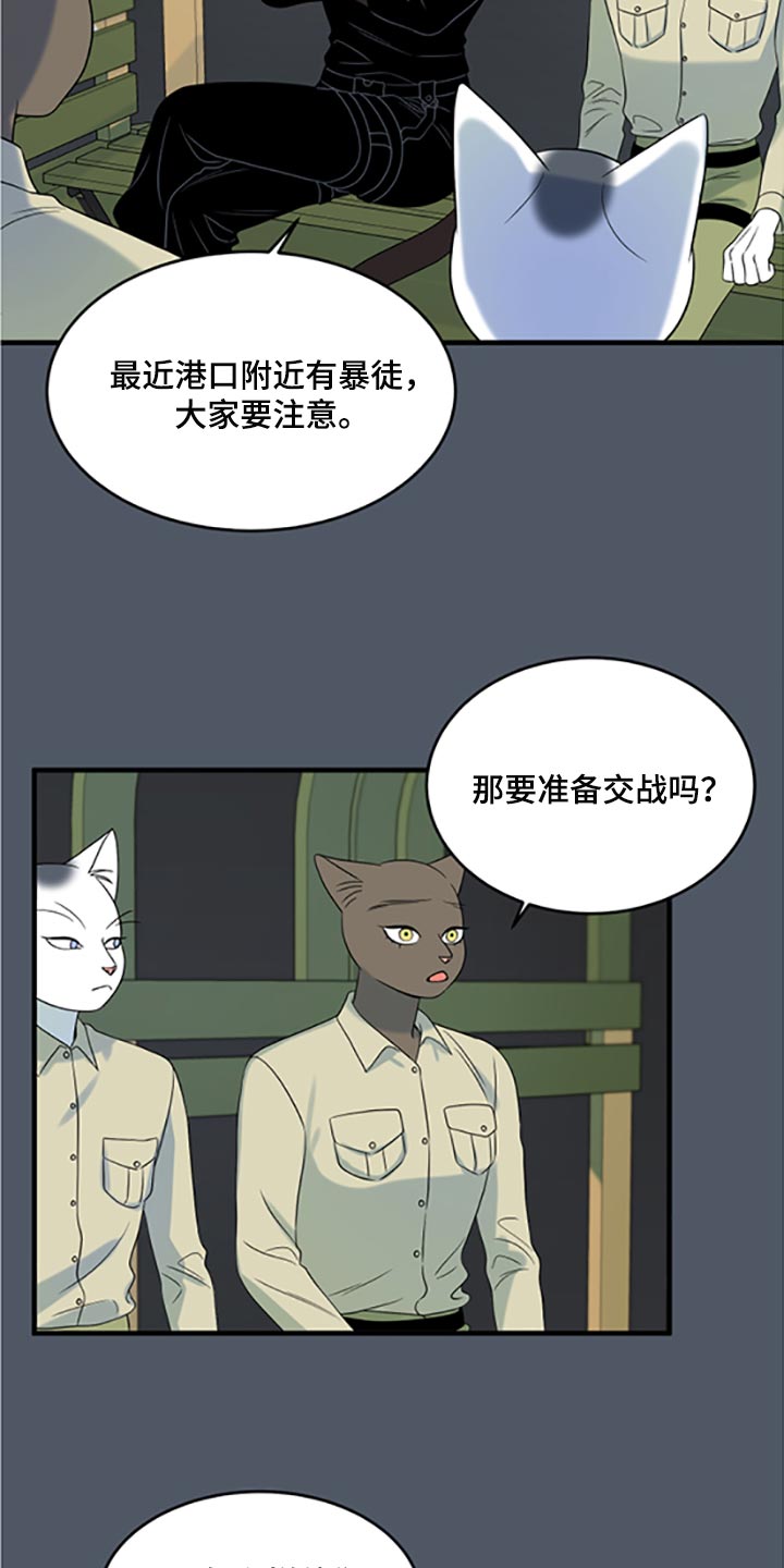 《灵猫欧米伽》漫画最新章节第79章：【第二季】傻瓜免费下拉式在线观看章节第【11】张图片