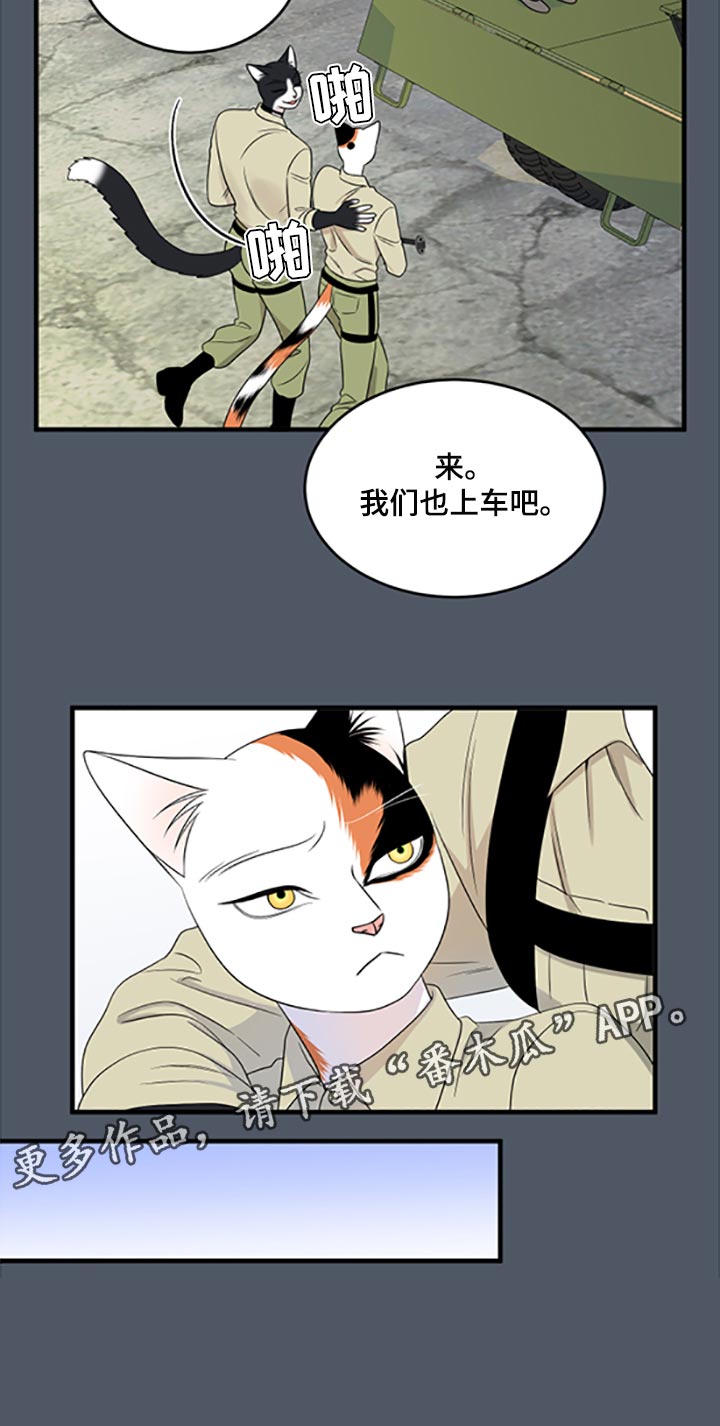 《灵猫欧米伽》漫画最新章节第79章：【第二季】傻瓜免费下拉式在线观看章节第【1】张图片