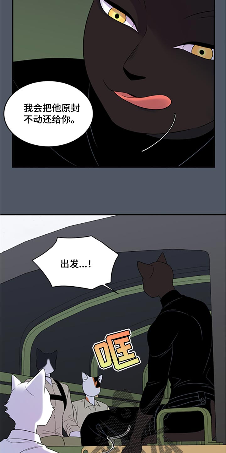 《灵猫欧米伽》漫画最新章节第79章：【第二季】傻瓜免费下拉式在线观看章节第【16】张图片