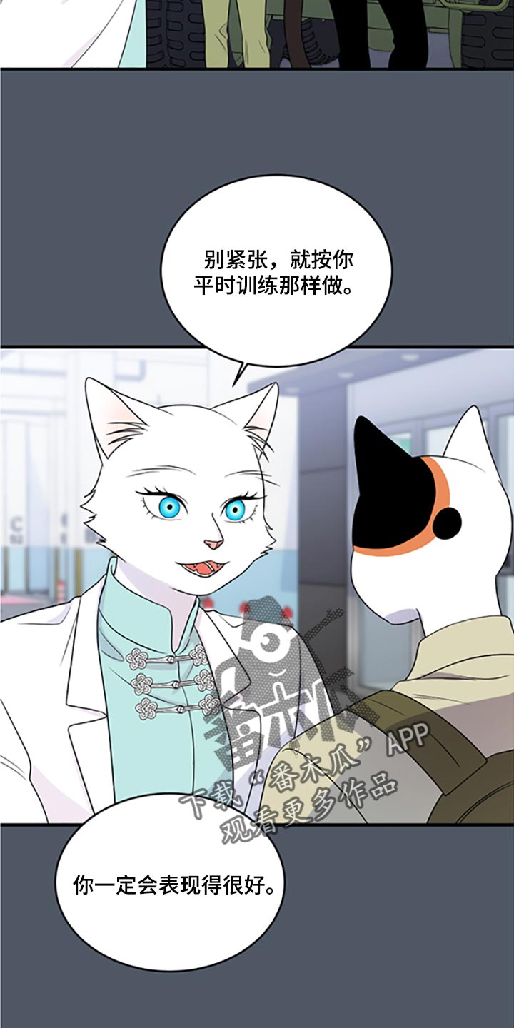 《灵猫欧米伽》漫画最新章节第79章：【第二季】傻瓜免费下拉式在线观看章节第【21】张图片