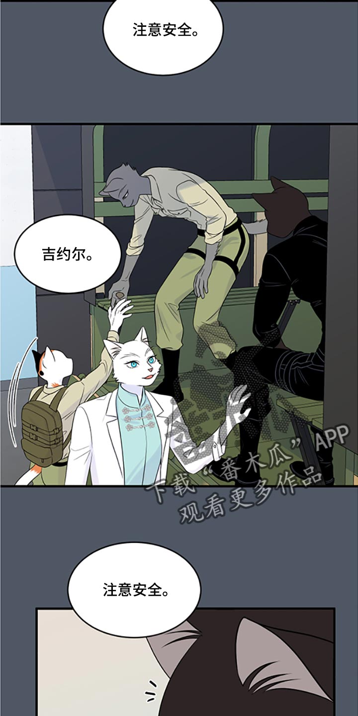 《灵猫欧米伽》漫画最新章节第79章：【第二季】傻瓜免费下拉式在线观看章节第【18】张图片