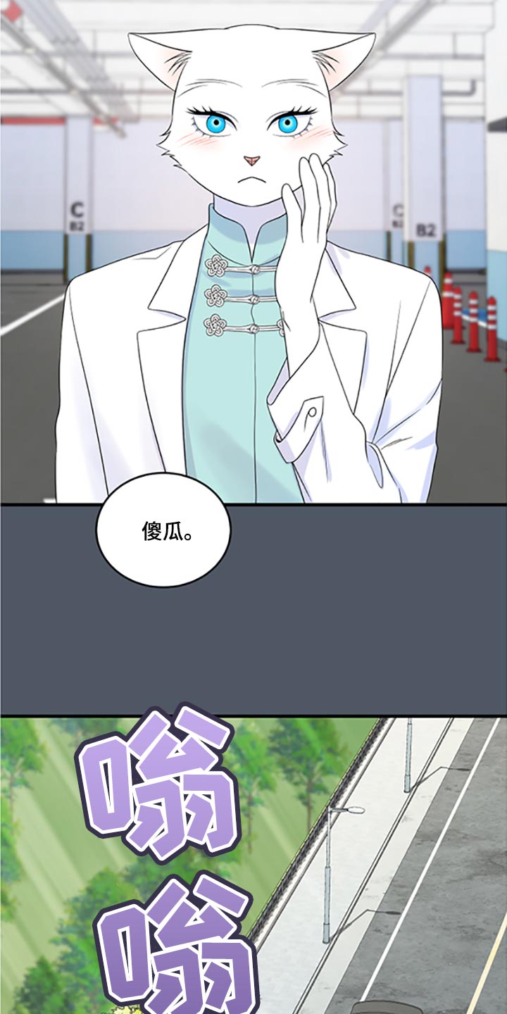 《灵猫欧米伽》漫画最新章节第79章：【第二季】傻瓜免费下拉式在线观看章节第【14】张图片