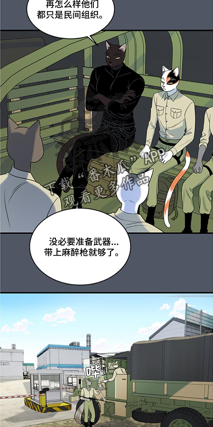 《灵猫欧米伽》漫画最新章节第79章：【第二季】傻瓜免费下拉式在线观看章节第【10】张图片