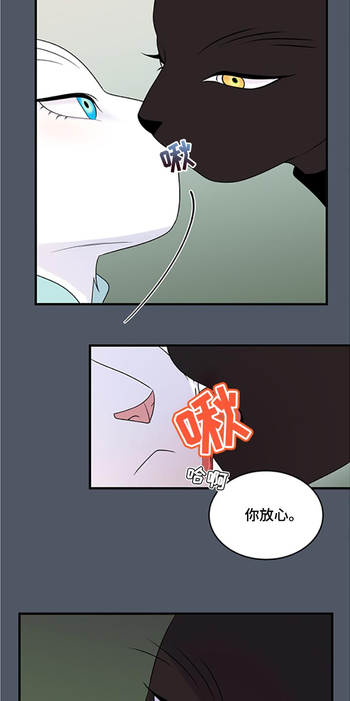 《灵猫欧米伽》漫画最新章节第79章：【第二季】傻瓜免费下拉式在线观看章节第【17】张图片