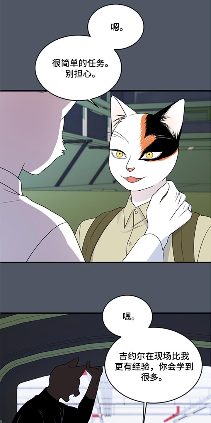 灵猫欧米伽-第79章：【第二季】傻瓜全彩韩漫标签