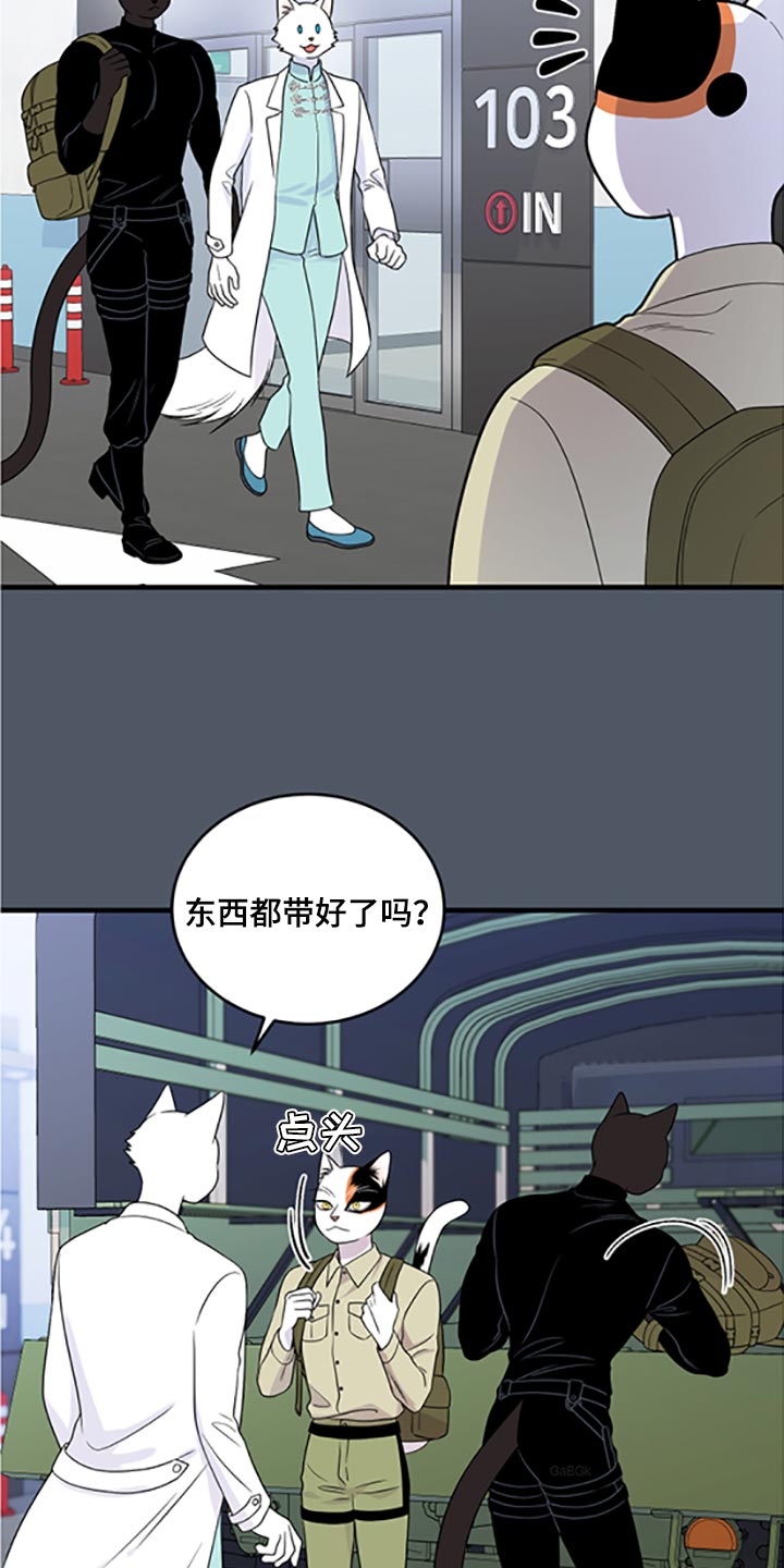 《灵猫欧米伽》漫画最新章节第79章：【第二季】傻瓜免费下拉式在线观看章节第【22】张图片