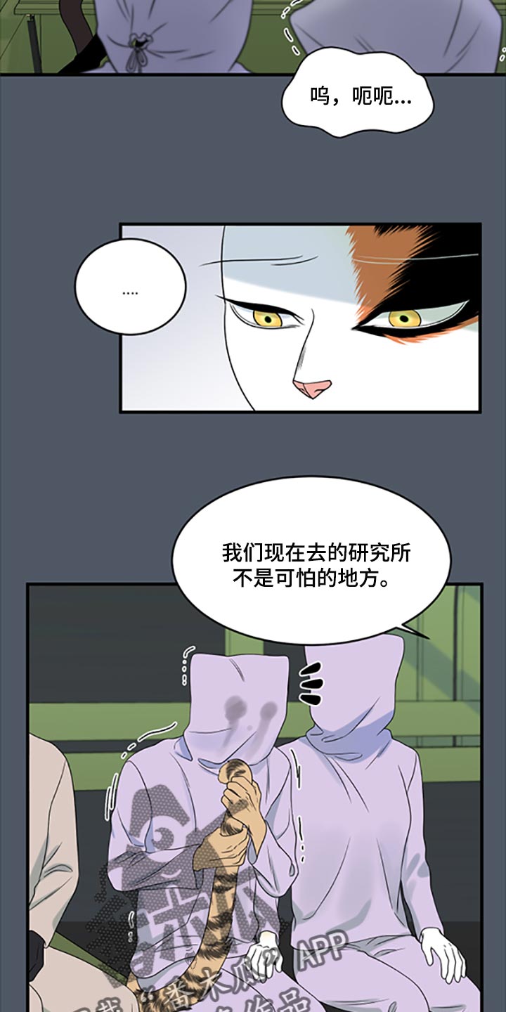 《灵猫欧米伽》漫画最新章节第80章：【第二季】理所应当做的事免费下拉式在线观看章节第【22】张图片