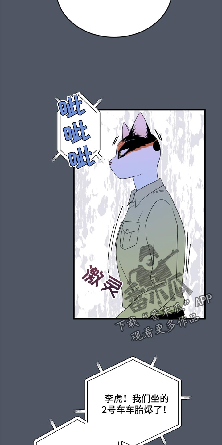 《灵猫欧米伽》漫画最新章节第80章：【第二季】理所应当做的事免费下拉式在线观看章节第【4】张图片