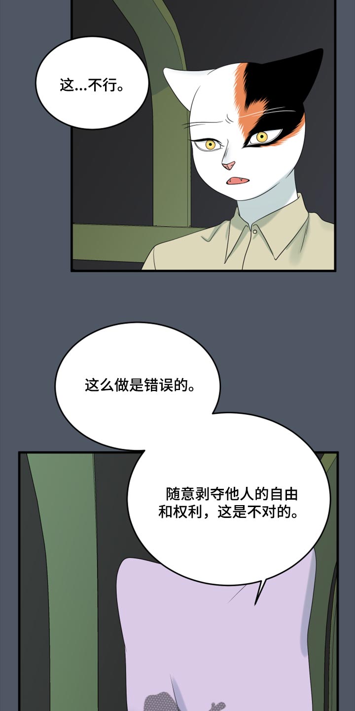 《灵猫欧米伽》漫画最新章节第80章：【第二季】理所应当做的事免费下拉式在线观看章节第【8】张图片