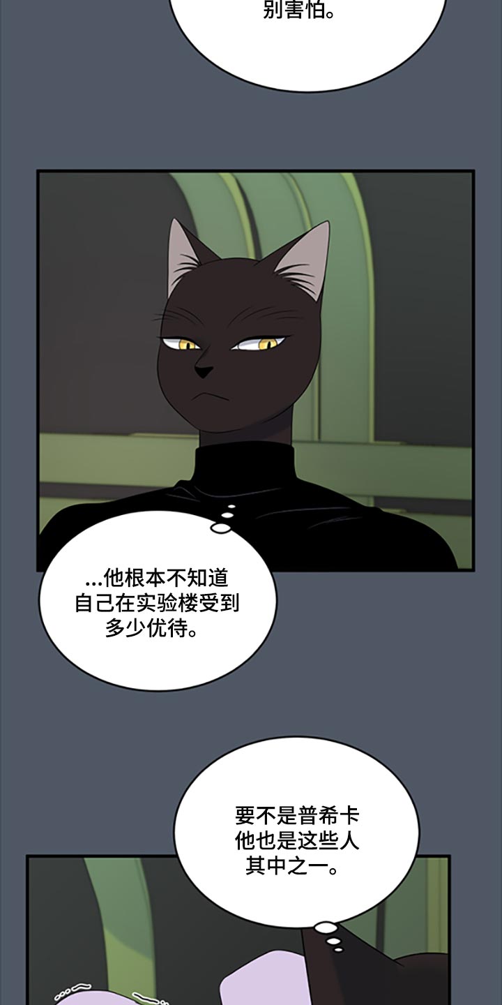 《灵猫欧米伽》漫画最新章节第80章：【第二季】理所应当做的事免费下拉式在线观看章节第【19】张图片