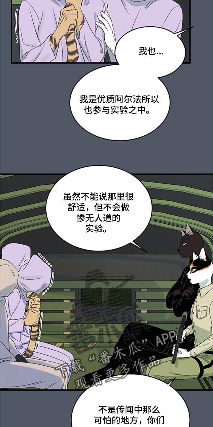 《灵猫欧米伽》漫画最新章节第80章：【第二季】理所应当做的事免费下拉式在线观看章节第【20】张图片